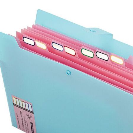 Папка-органайзер на кнопке 12 отделений, BRAUBERG "Extra", А4, голубая с розовым, 271932 