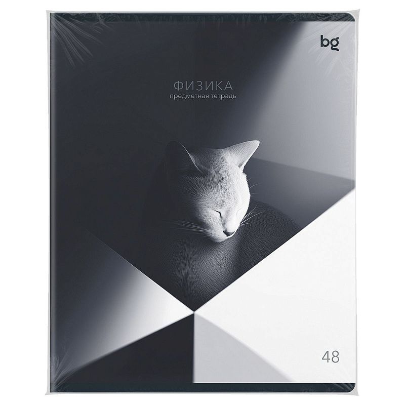 Тетрадь предметная 48л. BG "В гранях разума" - Физика, матовая ламинация