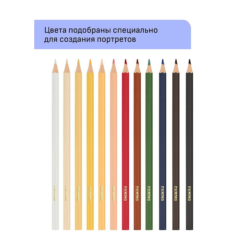 Карандаши цветные Гамма "Хобби. Портрет", 12цв., заточен., ПВХ, европодвес