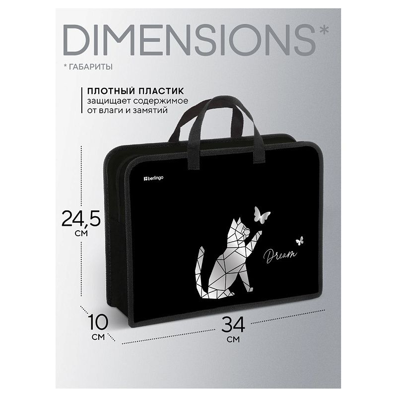 Папка с ручками 1 отделение, А4 Berlingo "Dream", 340*245*100мм, пластик, на молнии 