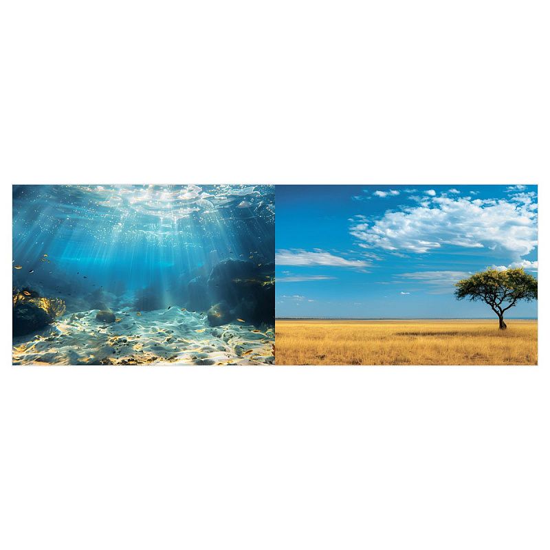 Альбом с наклейками ТРИ СОВЫ "250 наклеек. Животный мир", А5, 250шт., 6стр.