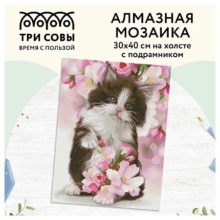 Алмазная мозаика ТРИ СОВЫ "Котенок в цветах", 30*40см, холст на деревянном подрамнике, картонная коробка с пластиковой ручкой
