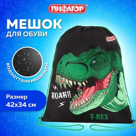 Мешок для обуви ПИФАГОР, 1 отделение, 40х32 см, Dino roar, 272387 