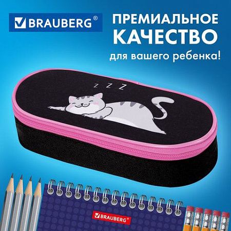 Пенал-футляр BRAUBERG, 1 отделение, органайзер, полиэстер, 22x9х5 см, Don't wake up, 272311 