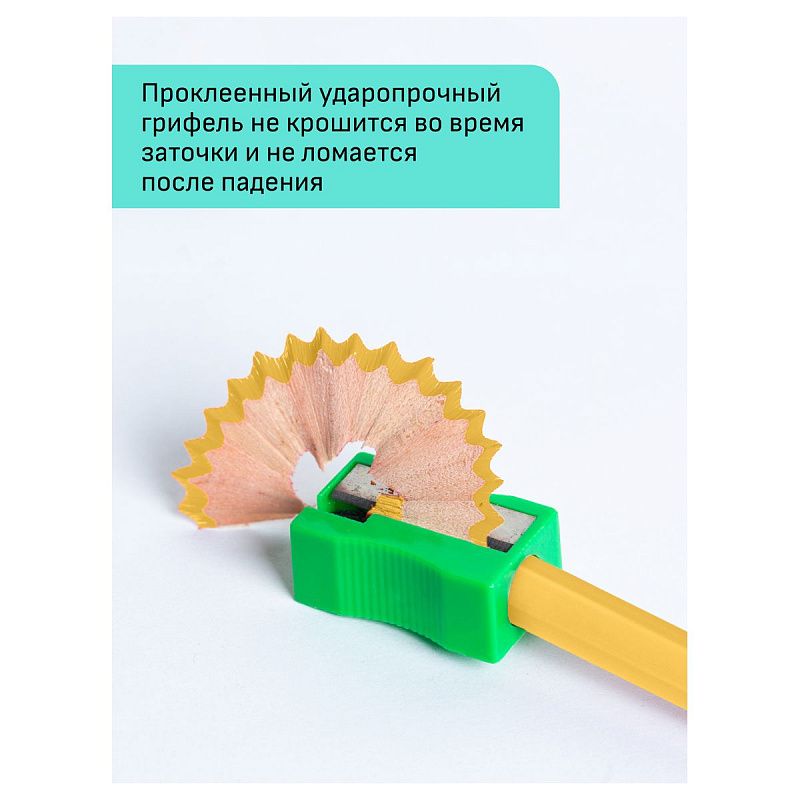 Карандаши цветные Гамма "Хобби. Портрет", 12цв., заточен., ПВХ, европодвес