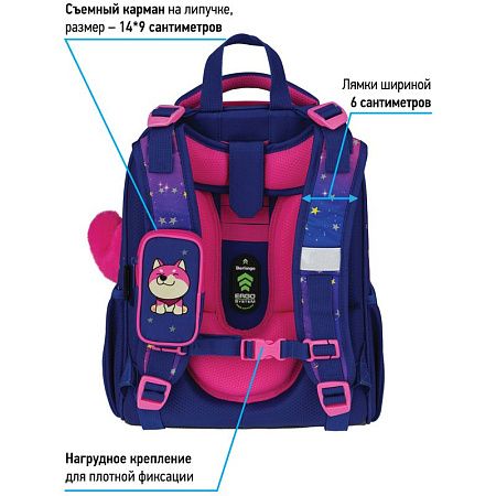 Ранец Berlingo Expert "Akita boy" 37*28*16см, 2 отделения, 2 кармана, анатомическая спинка 