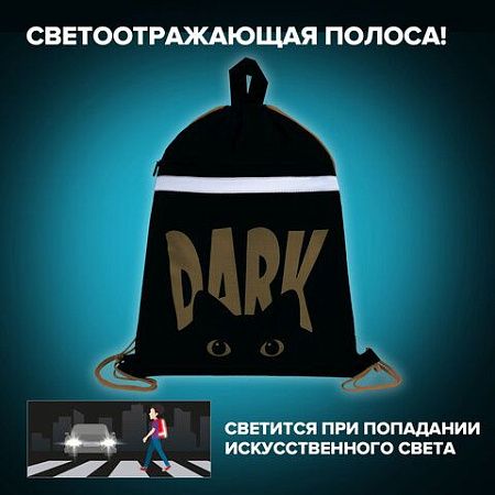 Мешок для обуви BRAUBERG, с петлей, светоотражающая полоса, 2 отделения, 46х36 см, Dark cat, 272394 