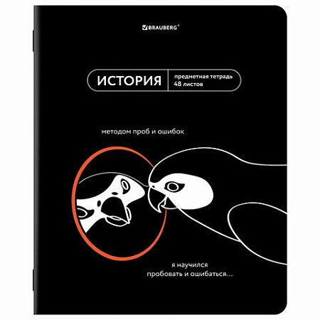Тетради предметные, КОМПЛЕКТ 12 ПРЕДМЕТОВ, 48 л., TWIN лак, BRAUBERG "МЕМЫ", 405172