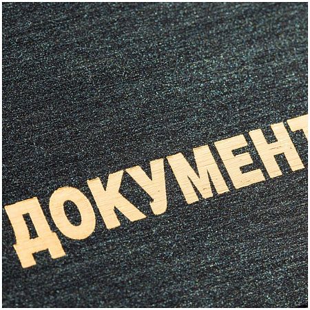 Обложка для автодокументов OfficeSpace ПВХ, Премьер 