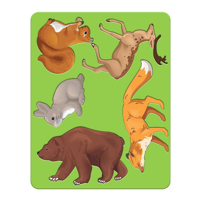 Трафарет-раскраска контурный, СТАММ "Лесные звери", пакет, европодвес