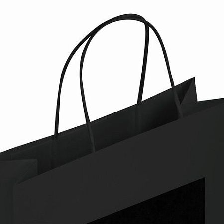 Пакет подарочный КОМПЛЕКТ 7 штук 32x13x26см скретч-слой+стилус, "Black Kraft", ЗОЛОТАЯ СКАЗКА, 591970