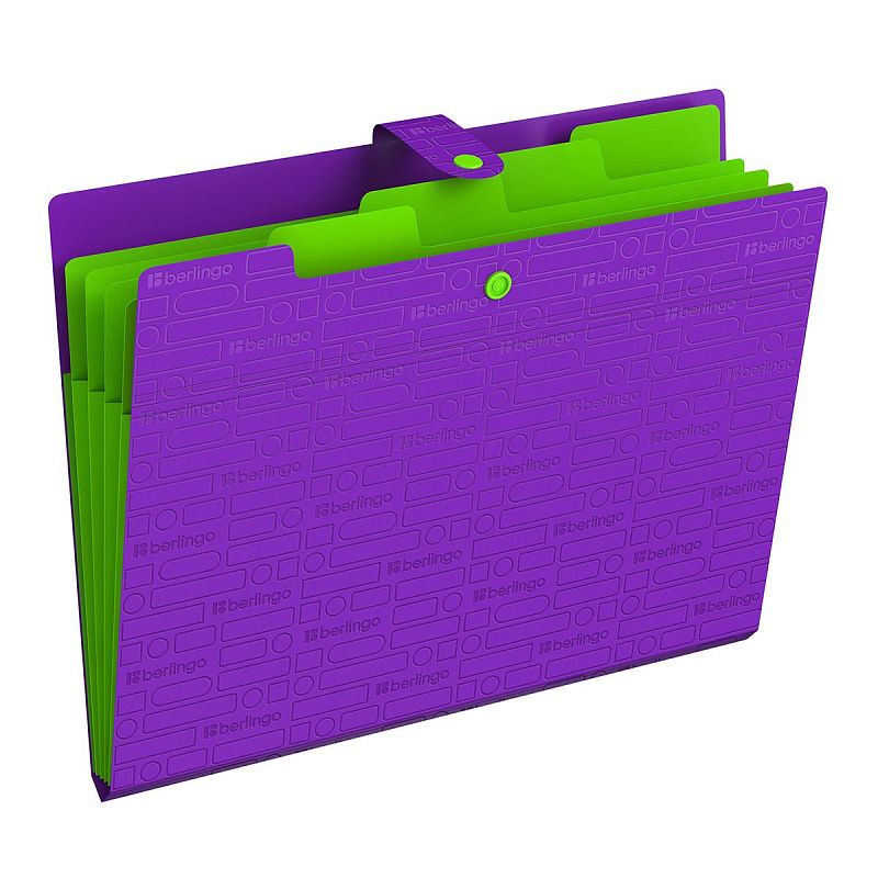Папка 5 отделений Berlingo "Your Way", А4, 600мкм, на кнопке, фиолетовая 