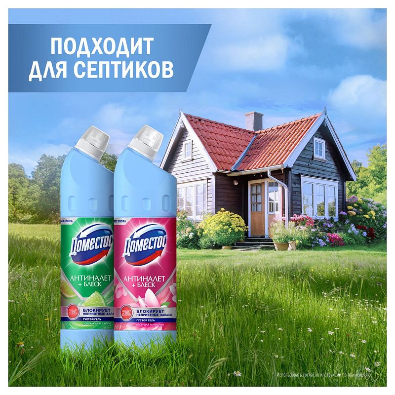 Чистящее средство универсальное Domestos "Антиналет+блеск. Освежающий цитрус", гель, без хлора, 750мл 
