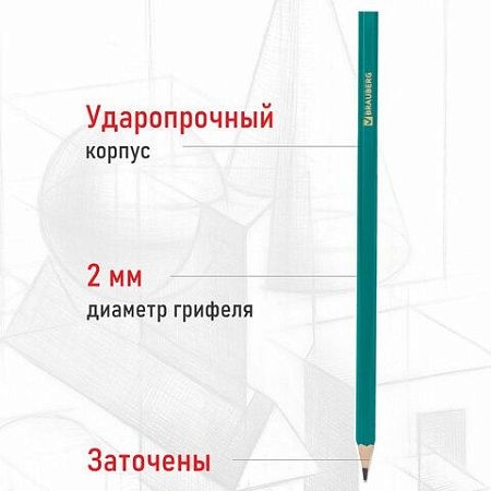 Карандаши чернографитные BRAUBERG НАБОР 12 шт., НВ, без резинки, пластиковый зеленый корпус, 180677 