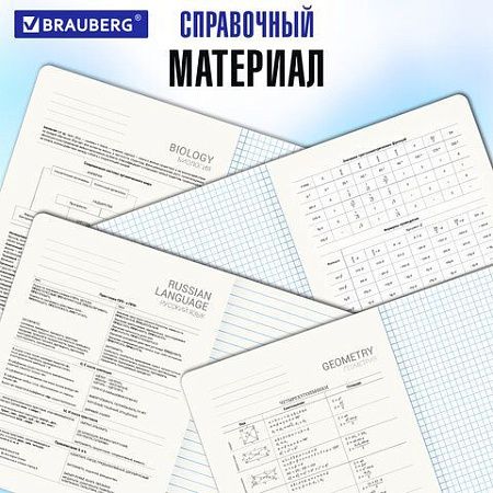 Тетради предметные, КОМПЛЕКТ 12 ПРЕДМЕТОВ, "MINIMAL", 48 л., матовая ламинация, BRAUBERG, 404831