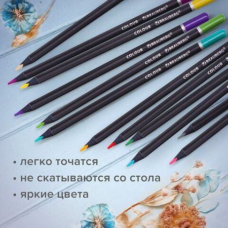 Карандаши цветные чёрное дерево BRAUBERG BLACK WOOD, 24 цвета, трехгранный корпус, грифель мягкий 3 мм, 181949