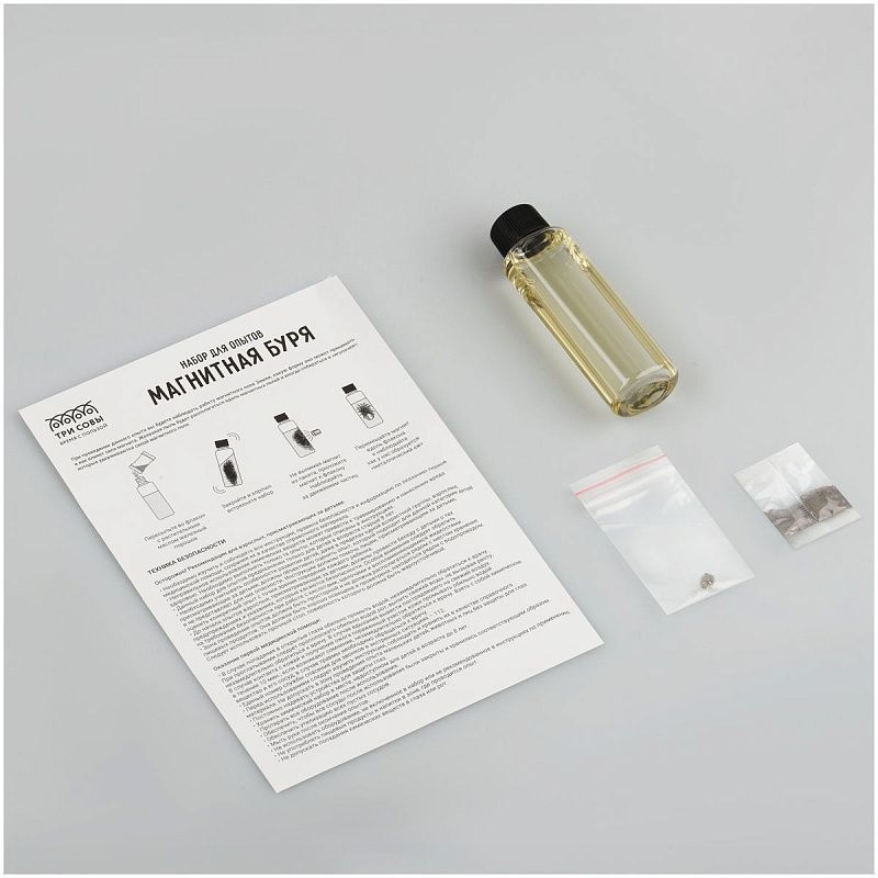 Набор для проведения опытов ТРИ СОВЫ «Магнитная буря», картонная коробка, европодвес