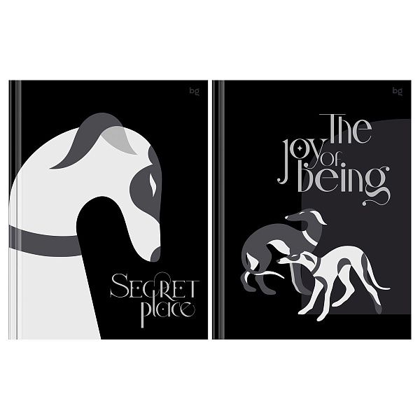 Бизнес-блокнот А5, 80л., BG "Secret place", матовая ламинация, выб. лак