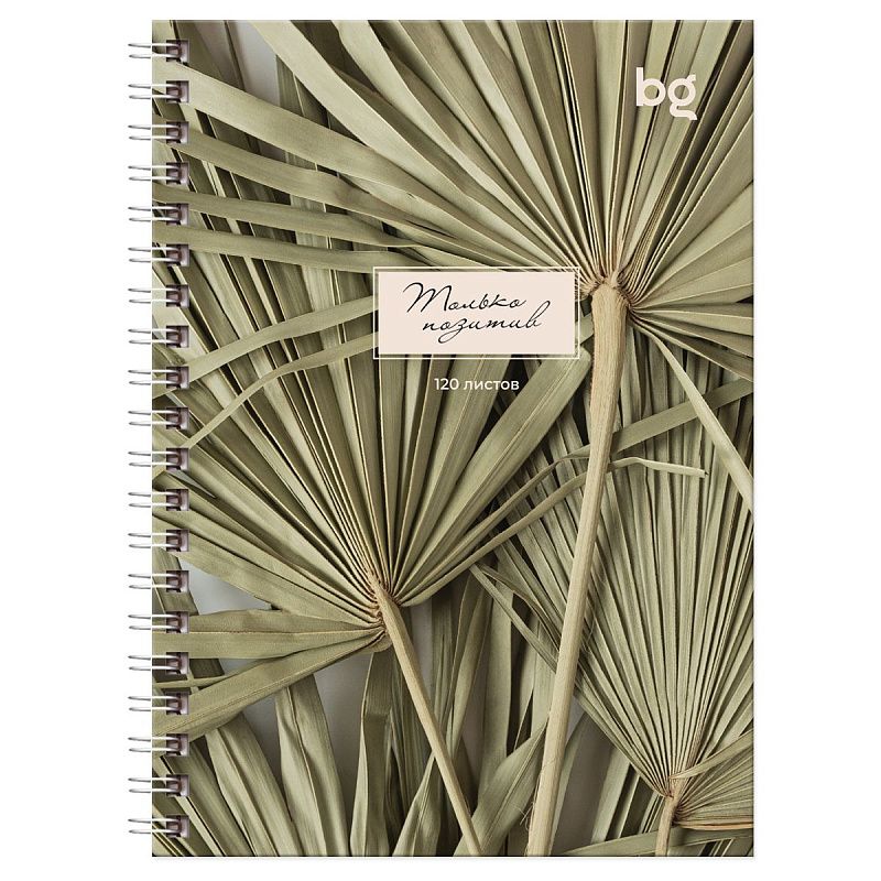 Записная книжка А6 120л., на гребне BG "Место под солнцем", матовая ламинация, выб. лак, твердая обложка