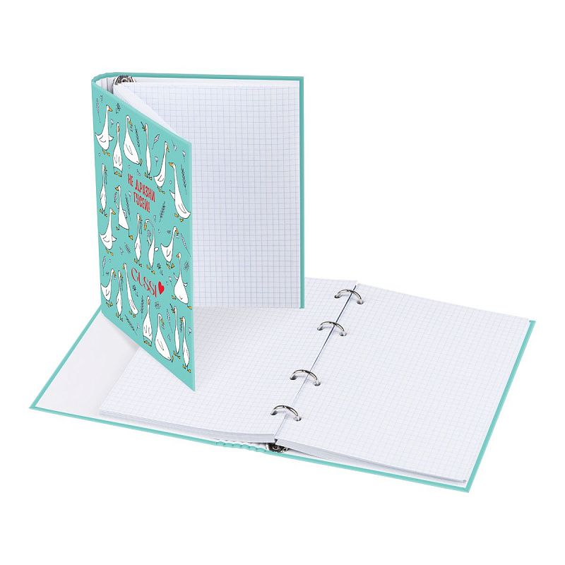 Тетрадь на кольцах А5, 160л., BG "Gussi", глянцевая ламинация