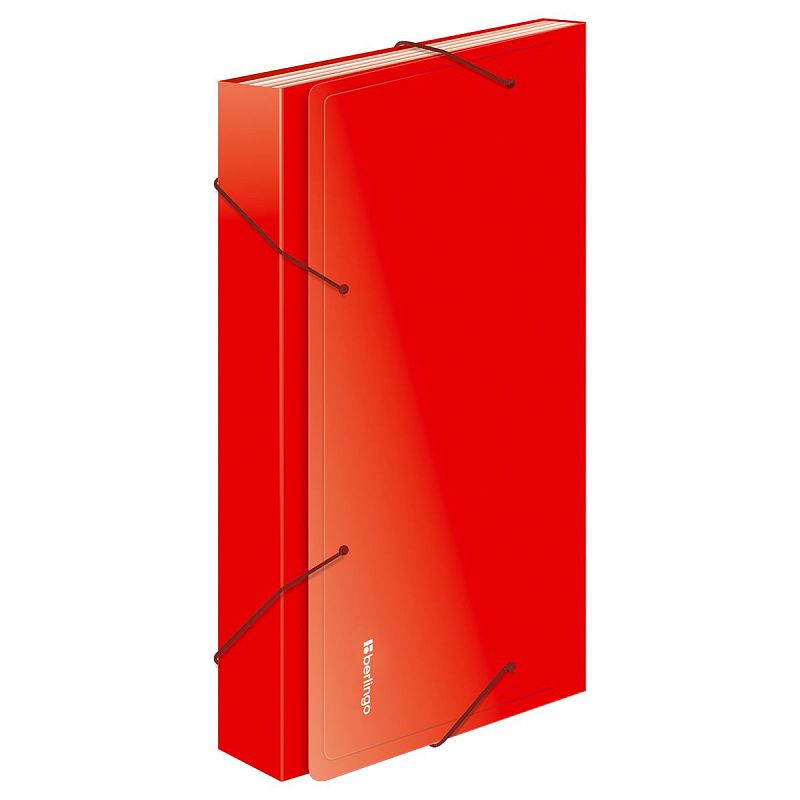 Папка 13 отделений Berlingo "Standard", А4, 700мкм, на резинке, ассорти 