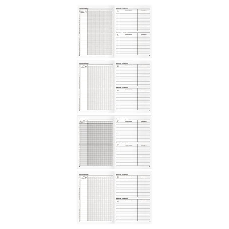 Классный журнал BG для 10-11 классов, 7БЦ, офсетная бумага