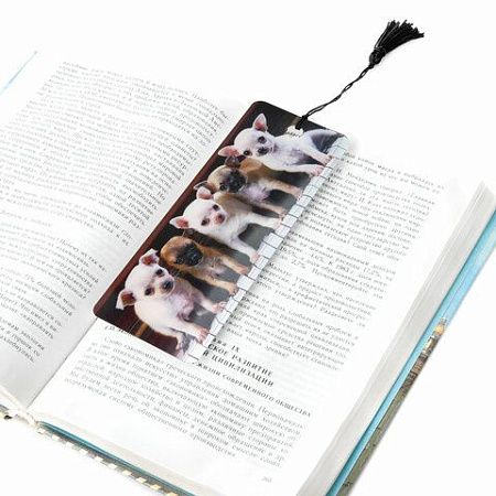 Закладка для книг с линейкой, 3D-объемная, BRAUBERG "Милые щенки", с декоративным шнурком, 128098 