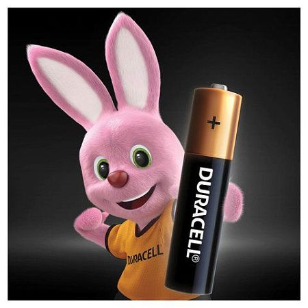 Батарейки КОМПЛЕКТ 4 шт., DURACELL Basic, AAA (LR03, 24А), алкалиновые, мизинчиковые, блистер, MN 2400 AAA LR3