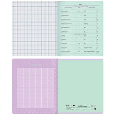Тетрадь предметная 48л. MESHU "Duo Brush" - Физика, матовая ламинация, тиснение фольгой
