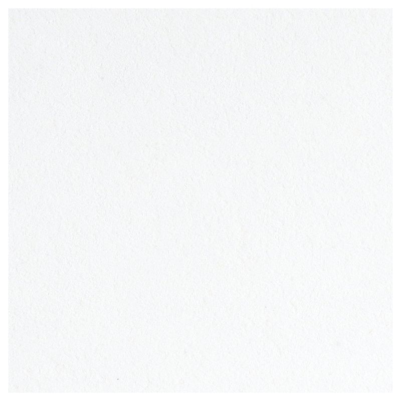 Картон белый А4 двустор., Мульти-Пульти, 16л., чистоцеллюлозный, в папке, "Енот в сказке"