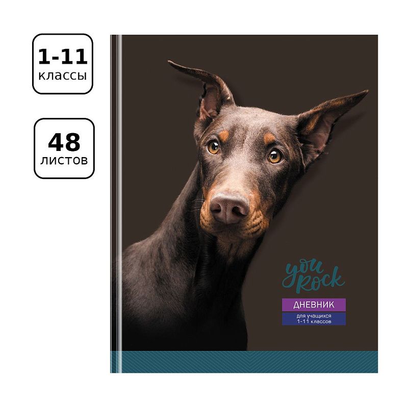Дневник 1-11 кл. 48л. (твердый) BG "Ты крут", матовая ламинация, выб. лак