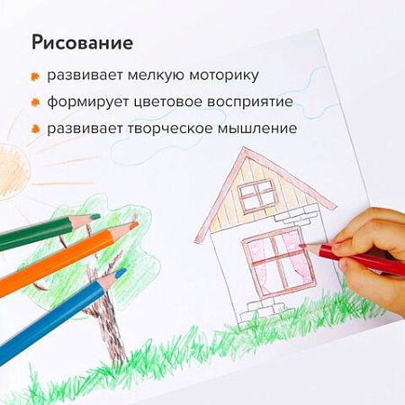 Карандаши цветные BRAUBERG PREMIUM, 24 цвета, пластиковые, трехгранные, грифель мягкий 3 мм, 181663