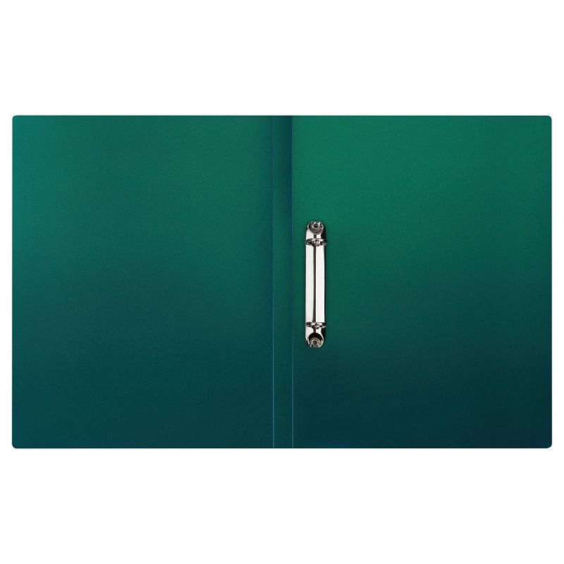 Папка на 2 кольцах СТАММ "Хамелеон" А4, 25мм, 700мкм, пластик, зеленый хамелеон 