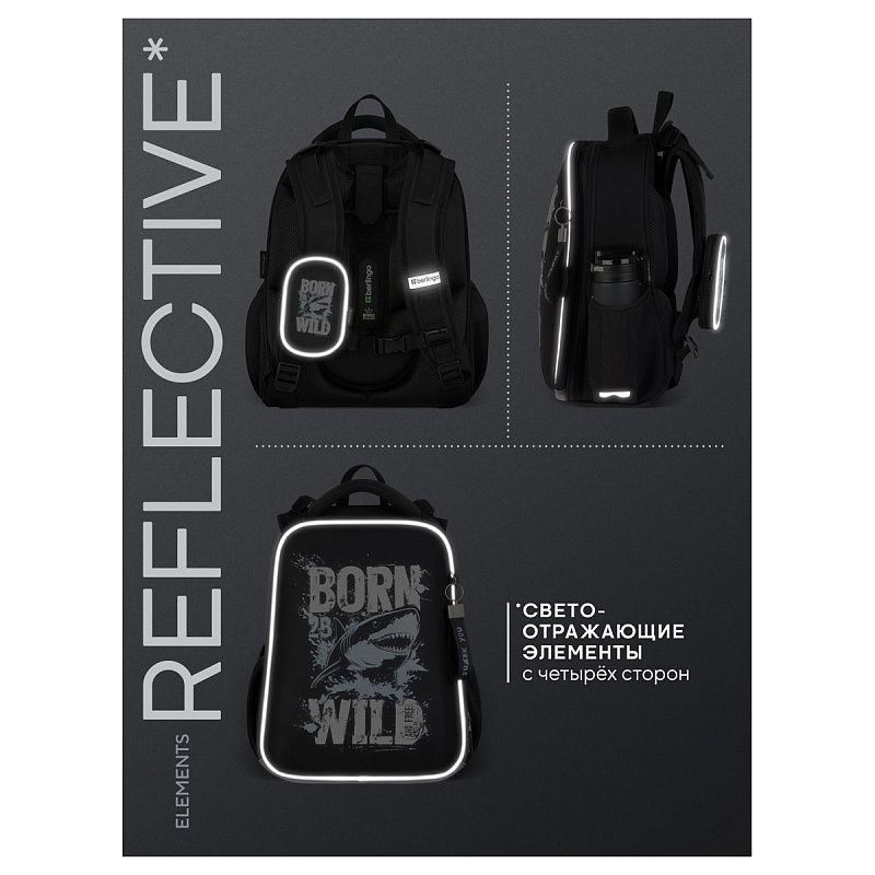 Ранец Berlingo Expert "Born to be WILD" 37*28*16см, 2 отделения, 2 кармана, анатомическая спинка 
