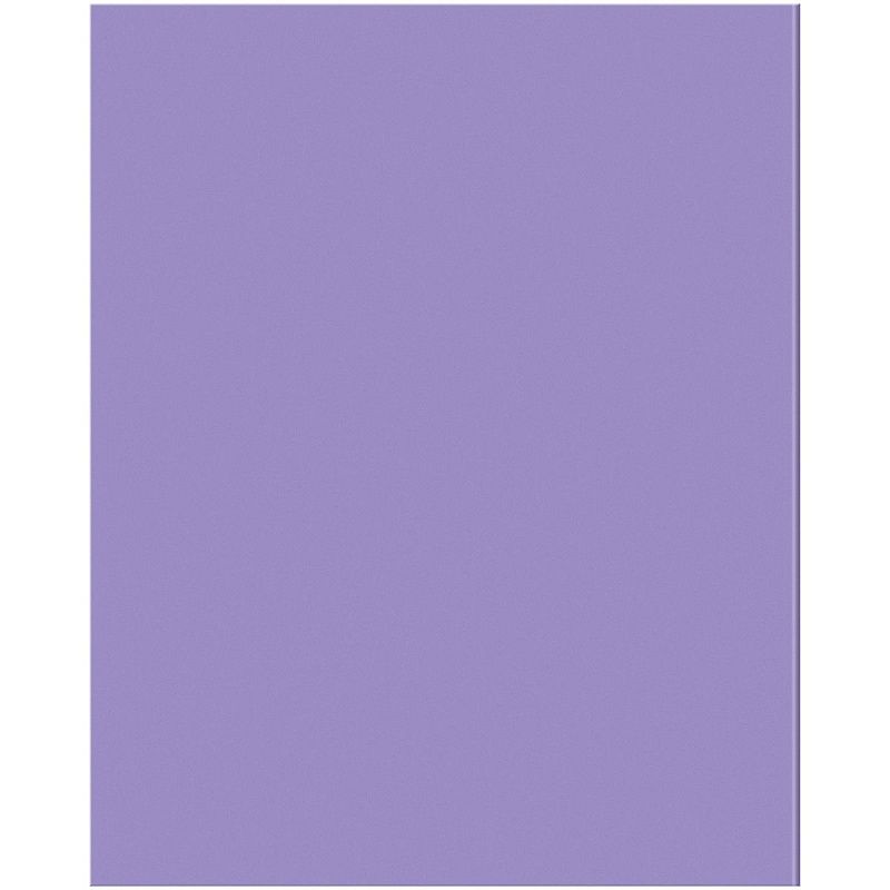 Тетрадь предметная 48л. BG "Перфокарта" - Литература, пластиковая обложка