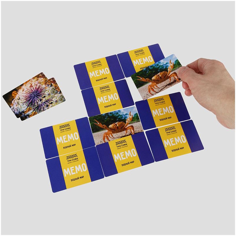 Игра настольная ТРИ СОВЫ "Мемо. Водный мир ", 50 карточек, картонная коробка 