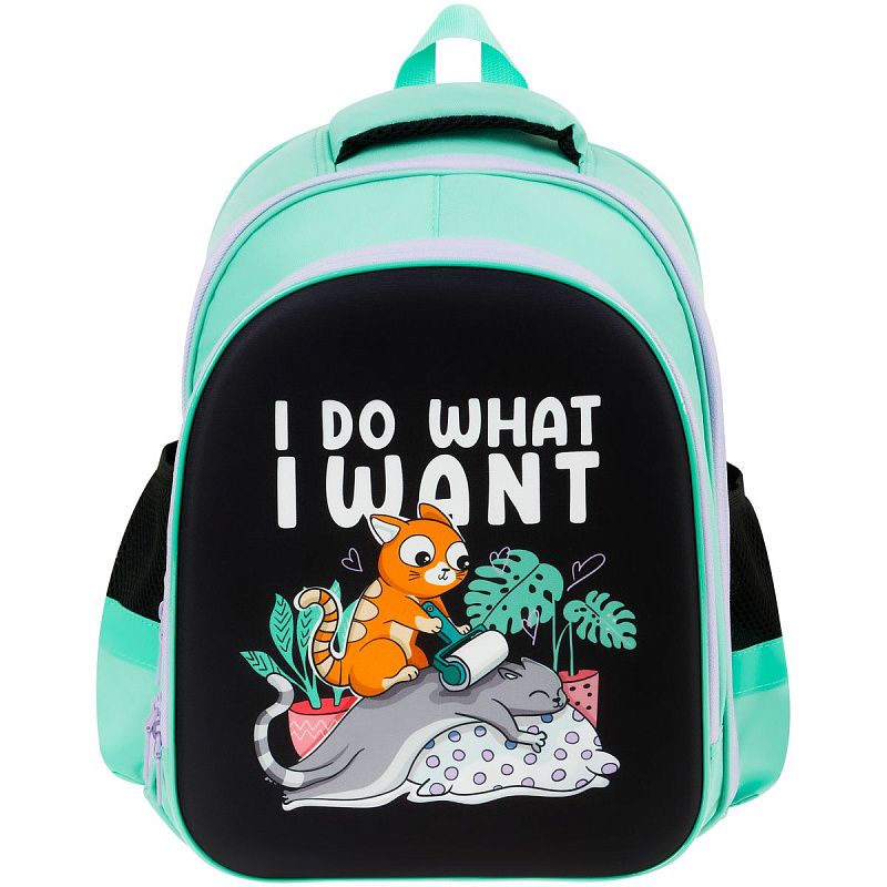 Ранец ArtSpace School Friend Light "Do what I want" 35*29*12см, 2 отделения, 2 кармана, анатомическая спинка 