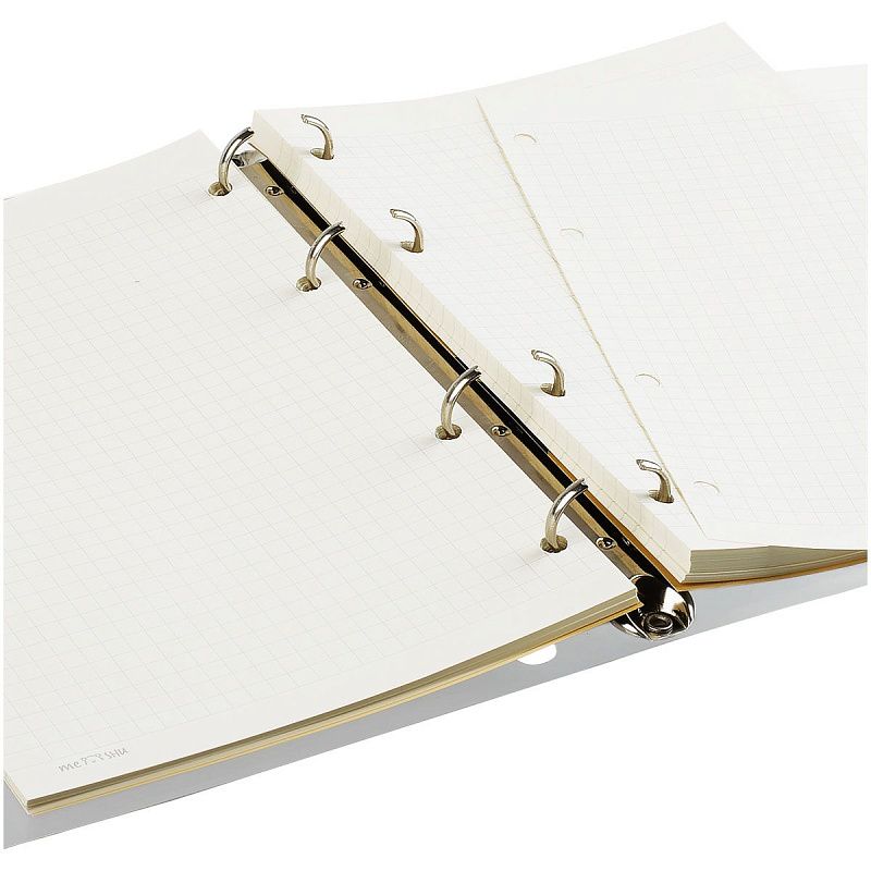 Тетрадь на кольцах 120л., А5, клетка MESHU "Black cat", с пластиковой обложкой