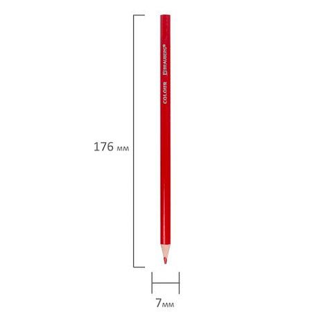 Карандаши цветные BRAUBERG PREMIUM, 24 цвета, пластиковые, трехгранные, грифель мягкий 3 мм, 181663