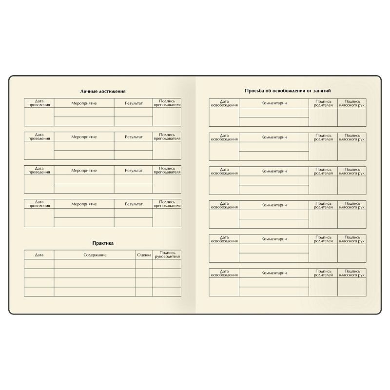 Дневник 1-11 кл. 48л. (твердый) BG "Metaphorical raven", иск. кожа, тиснение фольгой, печать, ляссе