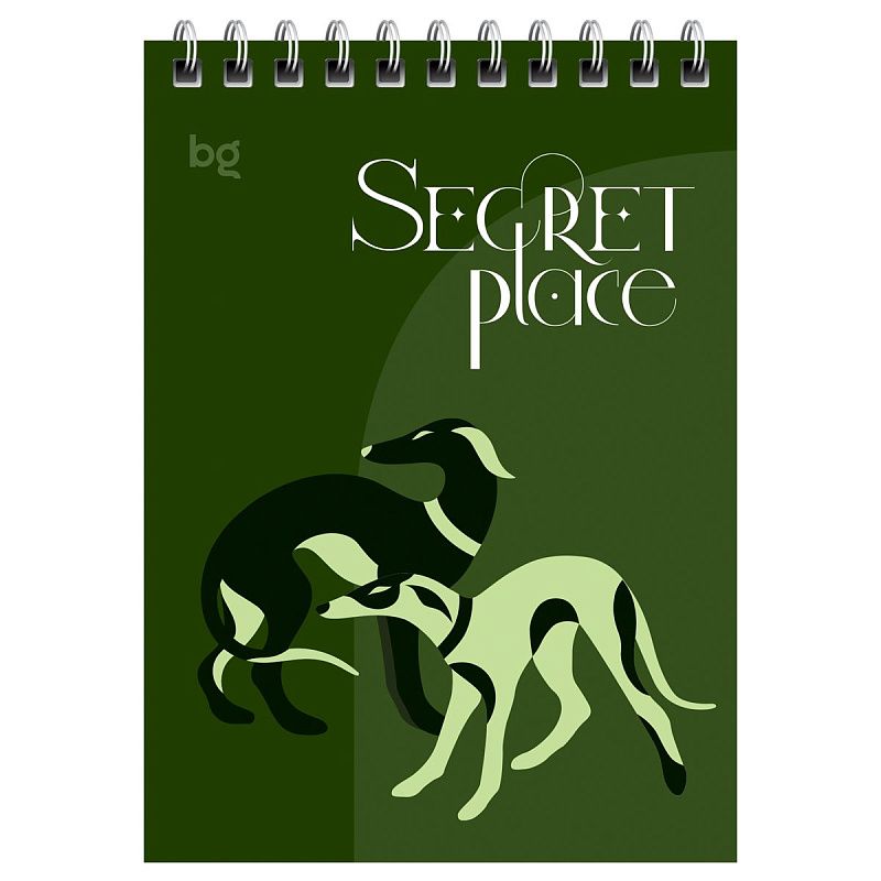 Блокнот А6 60л. на гребне BG "Secret place"
