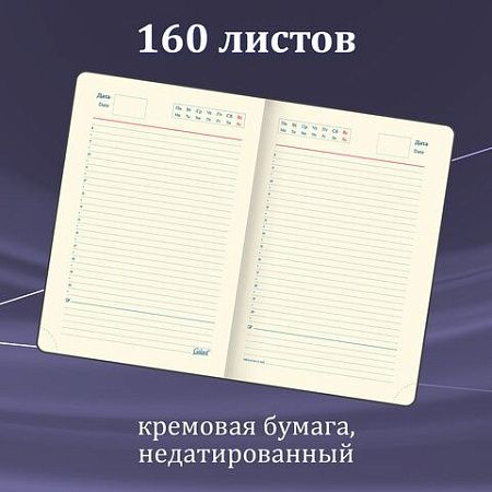 Ручка перьевая GALANT Versus, корпус золотистый, ежедневник недатированный А5 черный, пакет, 880906 