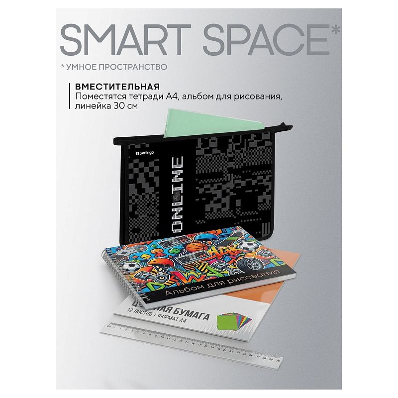 Папка для тетрадей 1 отделение, А4 Berlingo "Online", 340*245*40 мм, пластик, на молнии 