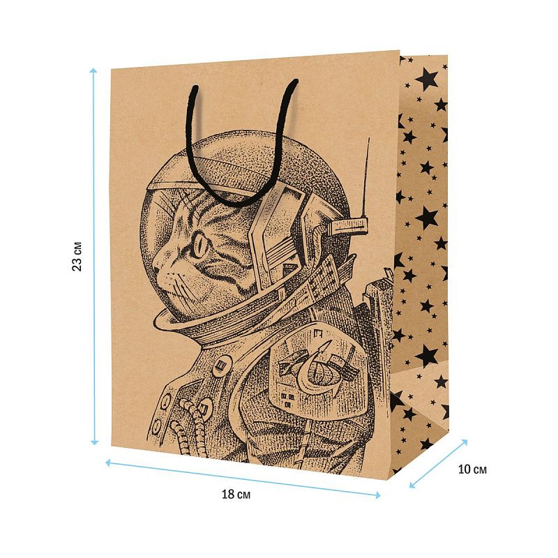 Пакет подарочный 18*23*10см ArtSpace "Space Cat", крафт