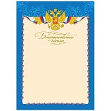 Благодарственное письмо А4, BG, мелованный картон