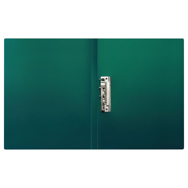 Папка с боковым зажимом СТАММ "Хамелеон" А4, 17мм, 700мкм, пластик, зеленый хамелеон 