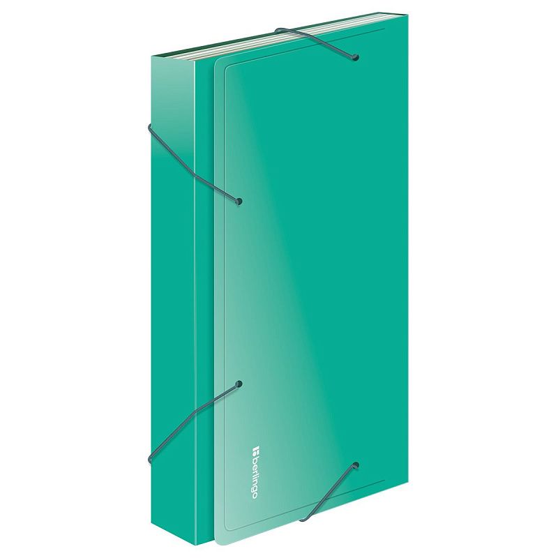 Папка 13 отделений Berlingo "Standard", А4, 700мкм, на резинке, ассорти 