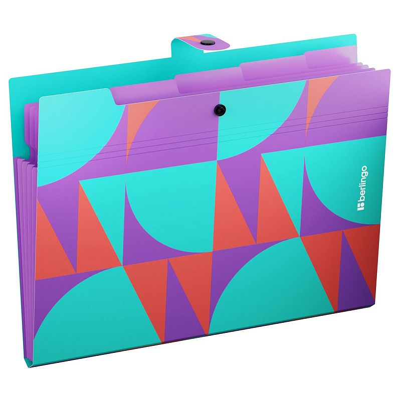 Папка 5 отделений Berlingo "Neonometry", А4, 600мкм, на кнопке, с рисунком 