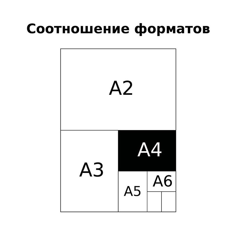 Тетрадь 80л., А4, клетка BG "Любите мир", матовая ламинация