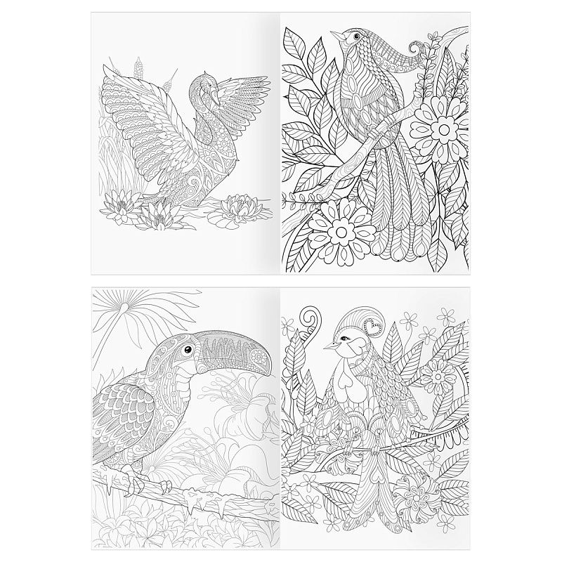 Раскраска А4 ТРИ СОВЫ "Антистресс. Райские птицы", 16стр.